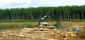 Rośnie popularność VLO w Brazylii