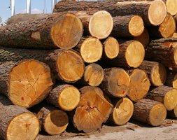 KPPD ma zapewnione 94% potrzeb surowcowych na II półrocze 2011 