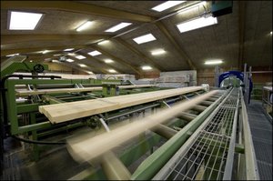 Tarcica przeznaczona do produkcji klejonki jest automatycznie sortowana.