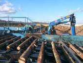 Łotewscy właściciele lasów korzystają z deficytu certyfikowanego drewna