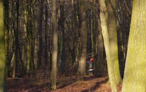 SPL: Rozmowy przedsiębiorców leśnych z Lasami Państwowymi