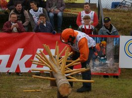 Kołki na każdej kłodzie rozmieszczone są identycznie zapewniając równe szanse zawodnikom 