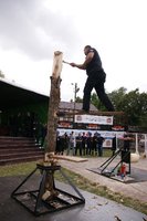 Eliminacje do mistrzostw Stihl Timbersports Series