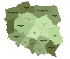 Raport o stanie lasów w Polsce 2010  