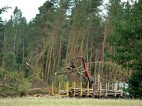 Białoruskie Leschozy usuwają skutki letnich huraganów