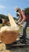 V Międzynarodowy Plener Rzeźbiarski Puszcza Zielonka 2011