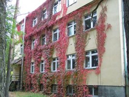 Ośrodek Badawczo-Rozwojowy Przemysłu Płyt Drewnopochodnych: Aukcja prywatyzacyjna 