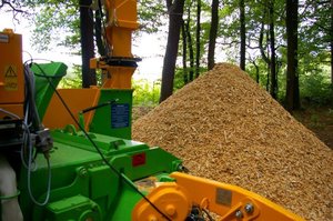 Amerykanie stawiają na energię z biomasy