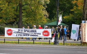NIE dla spalania pełnowartościowego drewna z polskich lasów