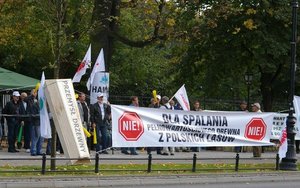 NIE dla spalania pełnowartościowego drewna z polskich lasów