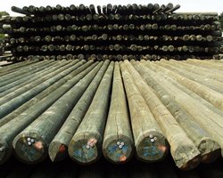 Chromowe środki ochrony drewna – Quo vadis?