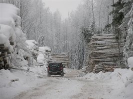 Pronox kupił 19% udziałów w WoodinterKom
