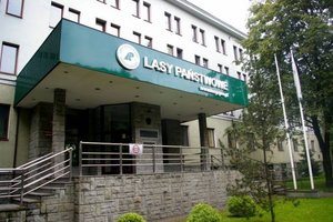 Lasy Państwowe: Odwołanie zastępców dyrektora generalnego