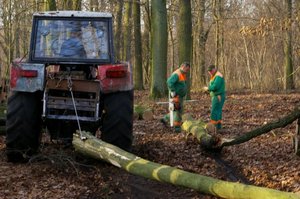 25,5 tys. osób pracuje w Lasach Państwowych