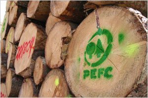 Certyfikacja PEFC - zgłoszenia reprezentantów do grup roboczych