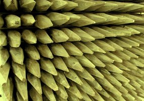 Klasy odporności drewna na korozję biologiczną