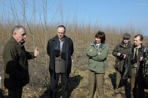 Uczestnicy spotkania na plantacji topoli