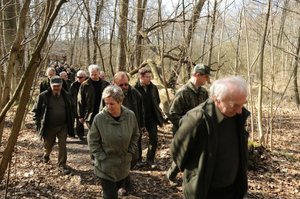 Eksperci od hodowli lasu spotkali się na Kujawach