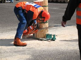 IV Mistrzostwa Polski w Umiejętnościach Leśnych