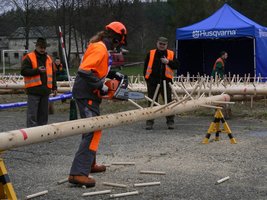 Widowiskowa konkurencja - Okrzesywanie