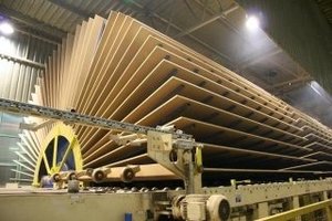 Grajewo nie planuje dywidendy