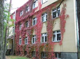 Ośrodek Badawczo-Rozwojowy Przemysłu Płyt Drewnopochodnych sprywatyzowany