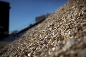 Biomasa ma stanowić połowę paliwa nowej eletrociepłowni Fortum 