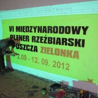 6. Międzynarodowy Plener Rzeźbiarski Puszcza Zielonka