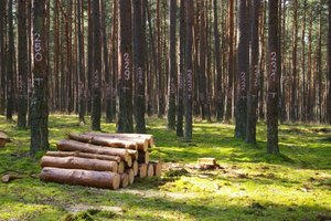 Powierzchnia doświadczalna