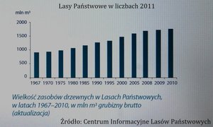 Analiza wybranych zarzutów pod względem technologii współspalania biomasy