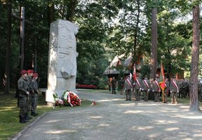 Powstaje strategia Lasów Państwowych