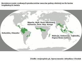 Uprawa palmy olejowej w wybranych krajach świata, w kontekście deforestacji oraz importu Palm Kernel Shell do Polski 