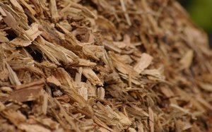 Możliwości oraz uwarunkowania podaży drewna do celów energetycznych