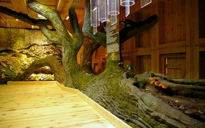 Seminarium: Program Life+ w promocji ochrony przyrody