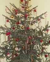 Zielona energia z warszawskich choinek