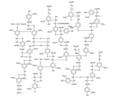 Lignina zamiesza na rynku chemicznym?
