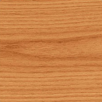 Dąb czerwony - Quercus rubra