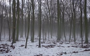 O surowcu u ministra środowiska - streszczenie spotkania