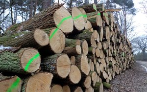 Nasze Cenne Drewno - III konferencja branżowa z cyklu EFEKTYWNY TARTAK