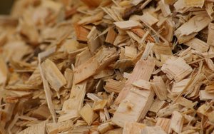 Dokąd biomaso? POLBIO zaprasza na konferencję prasową