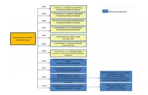 Forte: Skonsolidowane wyniki za 2012