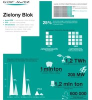 1,2 TWh energii z biomasy wyprodukuje rocznie Elektrownia Połaniec