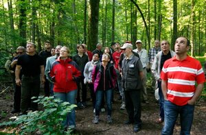 Coraz bliżej do uzgodnienia ramowej konwencji o lasach