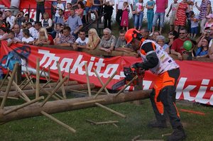 XIV Międzynarodowe Zawody Drwali w Bobrowie