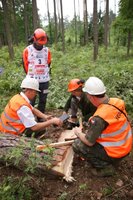 XIV Międzynarodowe Zawody Drwali w Bobrowie