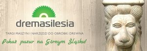 DREMASILESIA 2013: Otwieramy się na nowe branże