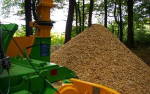 Elektrownie nie kontrolują pochodzenia spalanej biomasy leśnej