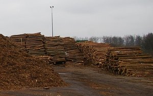 URE za stworzeniem krajowego systemu weryfikacji biomasy