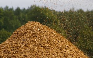 Forum Technologii w Energetyce – Spalanie Biomasy