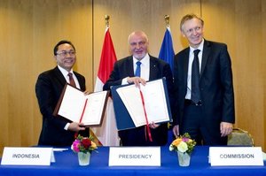 Unia Europejska walczy z nielegalnym wyrębem lasów 